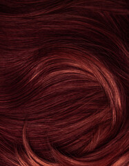 Dark red hair close-up as a background. Women's long brown hair. Beautifully styled wavy shiny curls. Coloring hair with bright shades. Hairdressing procedures, extension.