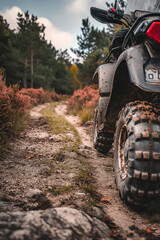 Fototapeta premium ATV riding in the National Forest