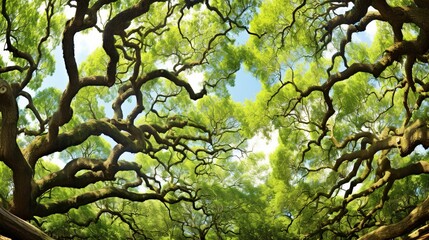 Fototapeta premium green tree branches