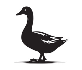 Duck isolated on white