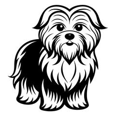 Maltese dog silhouette Vector and illustration isolated on white, design for laser cutting wall art and POD.