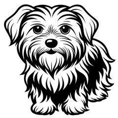 Maltese dog silhouette Vector and illustration isolated on white, design for laser cutting wall art and POD.