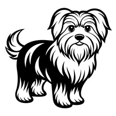Maltese dog silhouette Vector and illustration isolated on white, design for laser cutting wall art and POD.