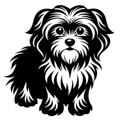 Maltese dog silhouette Vector and illustration isolated on white, design for laser cutting wall art and POD.