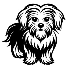 Maltese dog silhouette Vector and illustration isolated on white, design for laser cutting wall art and POD.