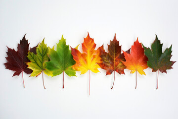 Seven autumn leaves arranged in a gradient from vibrant green to deep red, symbolizing the transition and range of fall colors and the beauty of nature&rsquo;s cycles.