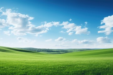 Obraz premium Green field landscape grassland outdoors.