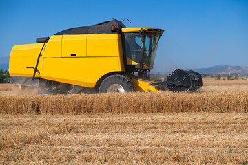 The combine harvester is harvesting in the wheat field, the combine harvester is working in the...