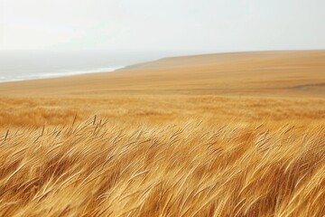 Obraz premium Golden wheat field swaying in the breeze warm and inviting nature landscape detailed texture serene and peaceful photography vibrant and picturesque