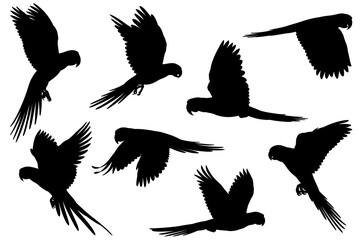 Black silhouette illustrations of flying parrots isolated on transparent background 