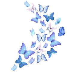 Butterfly collection. Watercolor illustration. Colorful Butterflies clipart set. Baby shower design elements. Party invitation, birthday celebration. Spring, summer decoration. Flock