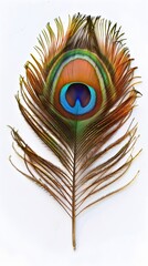 Obraz premium Vibrant Peacock Feather with Captivating Colors on Pristine White Background Symbolizing Natural Beauty