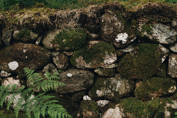 moss on stone