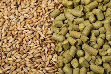 barley malt and dry hops Ingredient for Industrial production of beer.