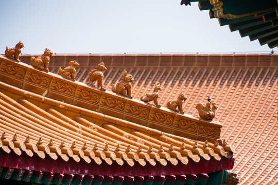 Yellow orange glazed terracotta roof tiles of a Chinese temple.