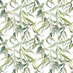 Hand drawn watercolor illustration botanical leaves. Osier ash oak acacia blackwood willow lancet eucalyptus laurel branch. Seamless pattern isolated white background. Design wedding, love cards, shop © Elena