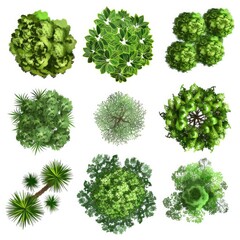 Obraz premium Top View Landscape. Green Plant Elements Isolated on White Background for Architectural Plans
