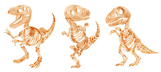 Tyrannosaurus rex skeleton . Hand drawn watercolor paint design . Cute cartoon characters . Set 8 . Illustration .