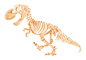 Tyrannosaurus rex skeleton . Hand drawn watercolor paint design . Cute cartoon characters . Set 13 . Illustration . © stockdevil