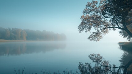 Fototapeta premium A calm lake with a tree in the foreground