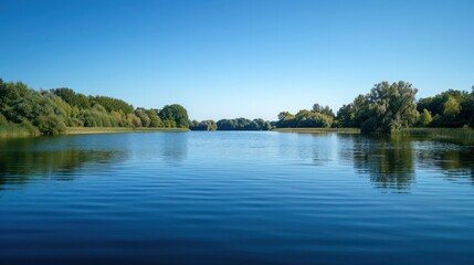 A calm lake with trees in the background