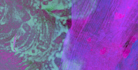 Fototapeta premium Bursting with Energy: Experience the Whimsy of a Colorburst on a Cute and Colorful Abstract Background