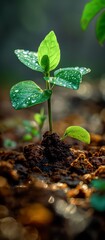 Delicate green sprout with tiny roots pushing through rich brown mud, bathed in sunlight.