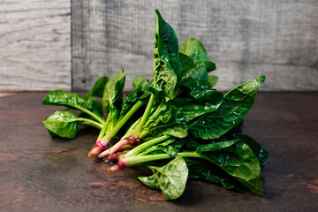 Fresh wet spinach leaves ( Spinacia oleracea ) with water drops on dark background. Fresh harvested organic spinach. Healthy leafy green vegetables in a kitchen
