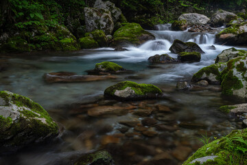 美しい川の流れ