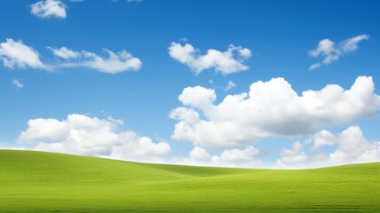 Scenic landscape with lush green grass field under a bright blue sky with fluffy white clouds. Concept of nature, spring, summer, peace, serenity, environment, and open space