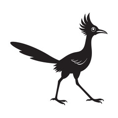 roadrunner silhouette vector illustration white background