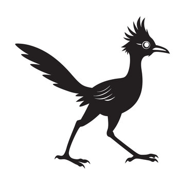 recommend clip art: roadrunner black and White Square Icon silhouette 