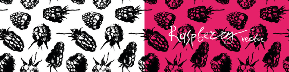 Abstract raspberry hand drawn illustrations. Vector raspberries drawings. Raspberry banner with berries pattern seamless. Juice or jam label design. Blueberries background. Engraved print texture.
