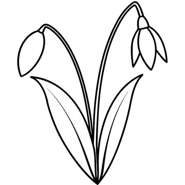 black and white snowdrop flowers clip art preview