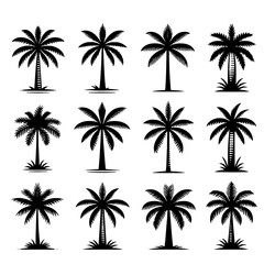 palm tree set vector illustration isolated