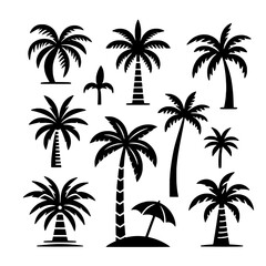 palm tree set vector illustration isolated