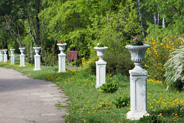 alley in the city park. urns with flowers in the spring park. Stone pot with plants in a country garden. beautiful flower Petunia blooming flowerpot