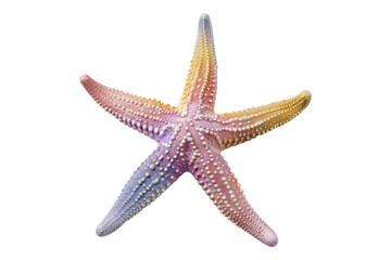 Pastel starfish isolated on transparent background