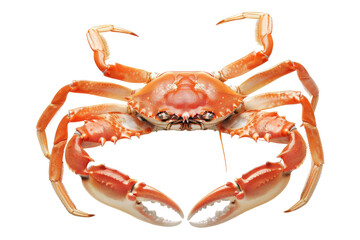 Steamed crabs legs isolated on transparent background