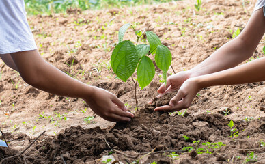 children help plant trees with love for nature.