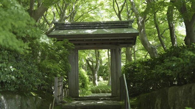 MOA美術館の唐門の風景動画