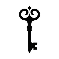 Elegant Key Logo Silhouette for Security Branding