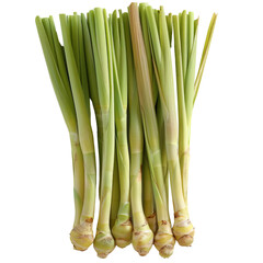 Fototapeta premium lemongrass stalks, aromatic plant, realistic photo, green and yellow, isolated on white background