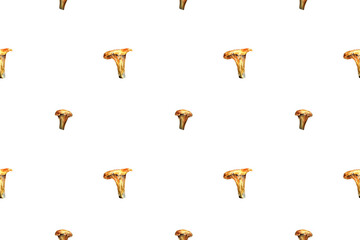 Botanical watercolor hand drawn seamless pattern with mushrooms chanterelle fall forest wild food vegetarian woodland theme wrapping paper, textile design © lidianureeva