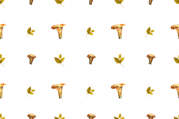 Botanical watercolor hand drawn seamless pattern with mushrooms chanterelle with yellow leaves fall forest wild food vegetarian woodland theme wrapping paper, textile design