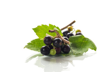 ripe blackcurrant berries with leaves on white background.