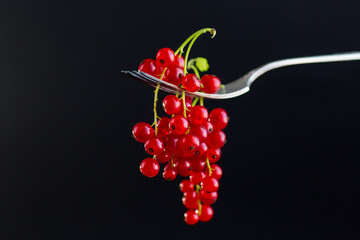 twigs of ripe red currants, isolated on a black background
