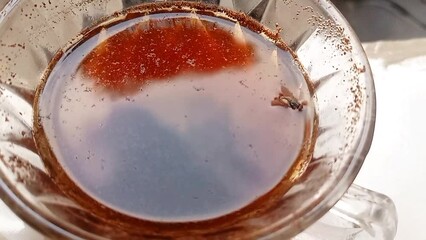 Vidio of a fly fell into a cup of coffee