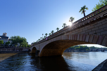 Naklejka premium Palm trees of the Louis-Philippe bridge in the 4th arrondissement of Paris city