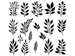 Hand drawn Leaf silhouette set on white background